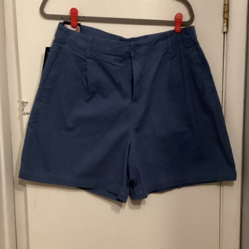 Banana Republic Blue Women's Shorts